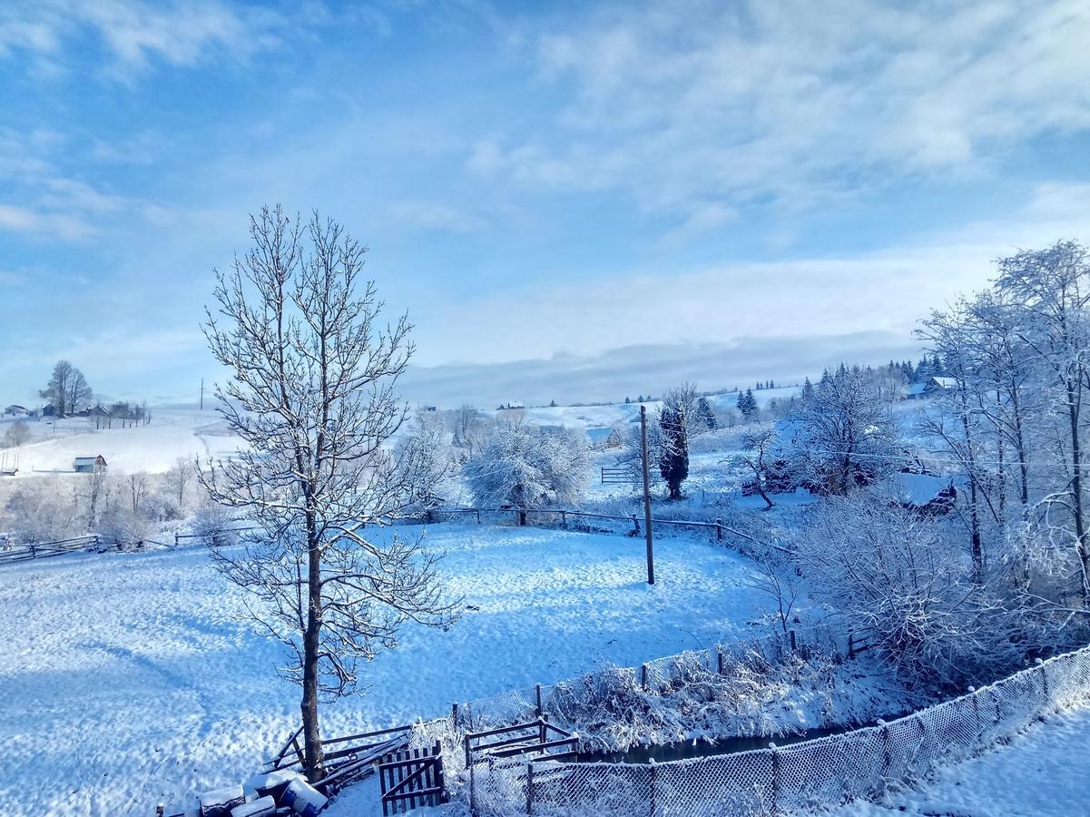 Дзвін Карпат Βίλα Lazeshchyna Εξωτερικό φωτογραφία